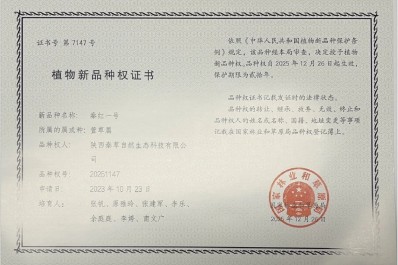 中国388vip太阳集团(Macau))有限公司-官方网站