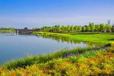 中国388vip太阳集团(Macau))有限公司-官方网站